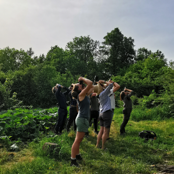 ARK Rewilding Nederland